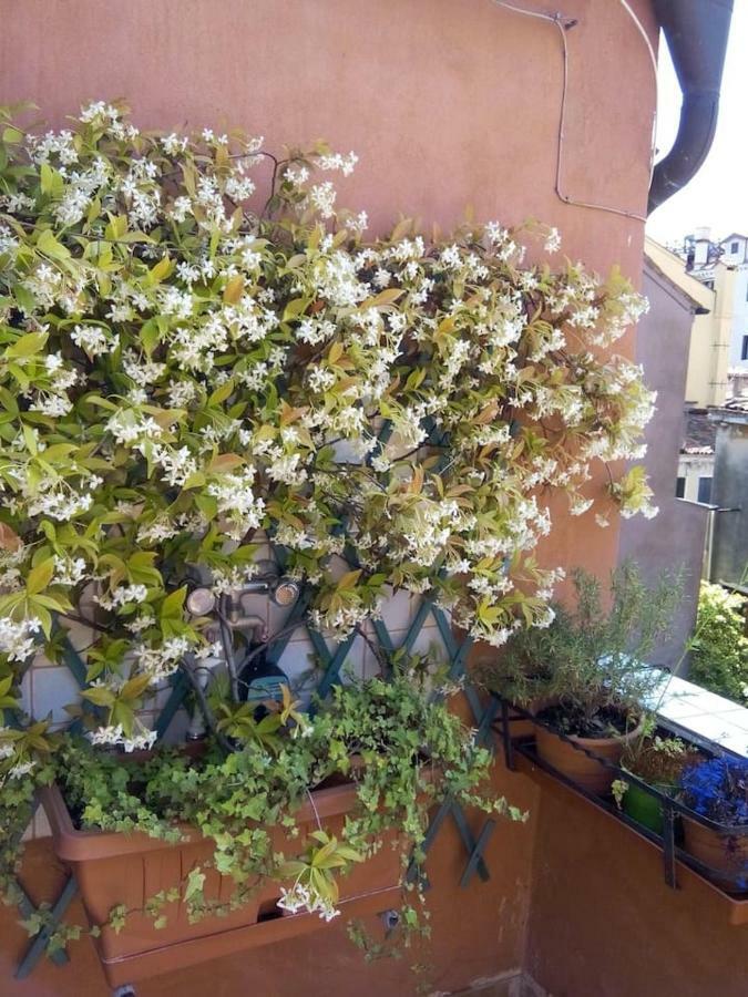 Ca' San Silvestro 2 Terrazze Nel Cuore Di Venezia Exteriör bild
